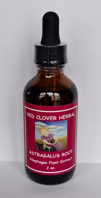 Astragalus Root Plant Extract